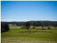 1170 Tathra Bermagui Road, Tanja NSW 2550