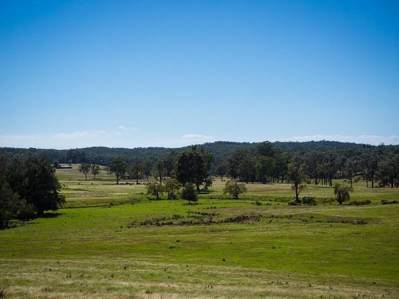 1170 Tathra Bermagui Road, Tanja NSW 2550