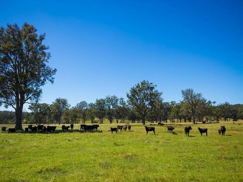 1170 Tathra Bermagui Road, Tanja NSW 2550