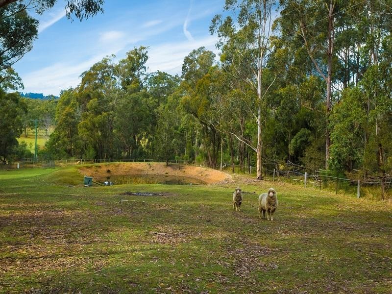 77 Wallagoot Lane, Wallagoot NSW 2550