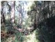 Lot 30 Shumack Place, Wallagoot NSW 2550