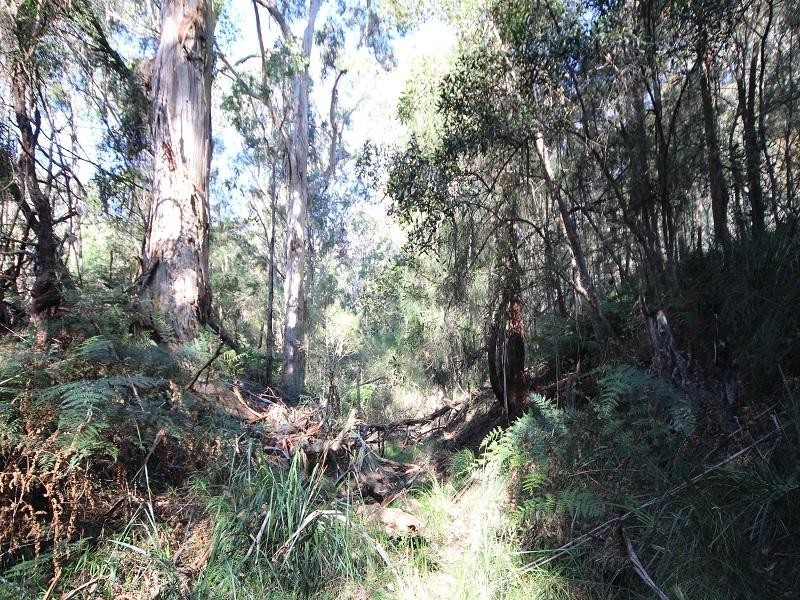 Lot 30 Shumack Place, Wallagoot NSW 2550