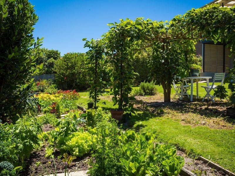 6 Jerimbut Street, Bermagui NSW 2546