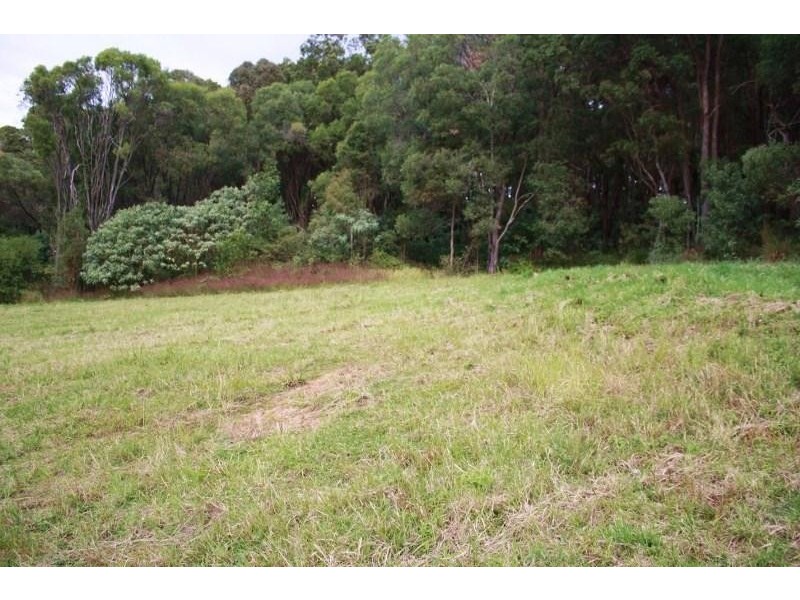 19 Currawong Crescent UPPER COOMERA 4209, Upper Coomera QLD 4209