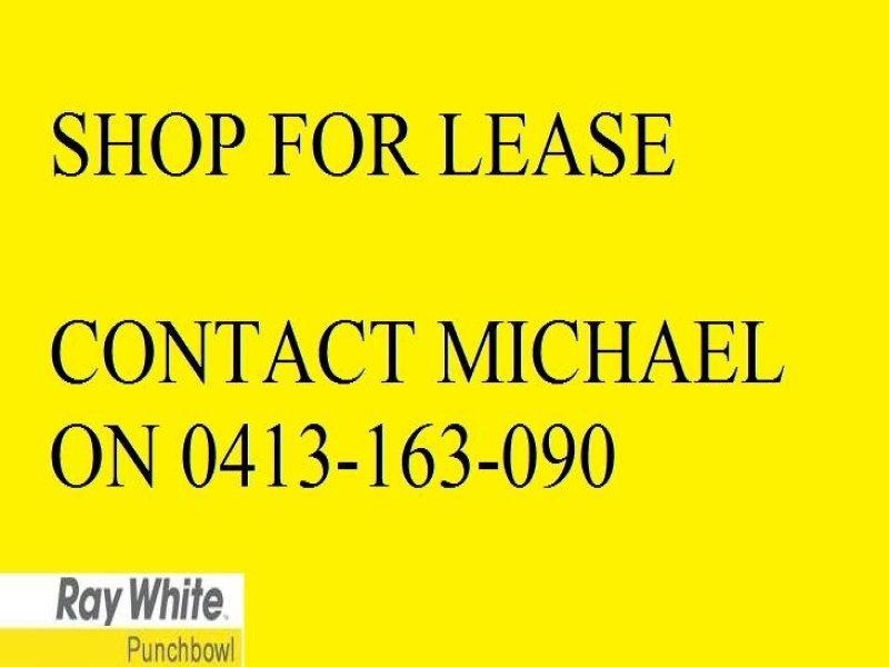 816 Punchbowl Road PUNCHBOWL 2196, Punchbowl NSW 2196