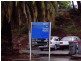 19 Dunscombe Avenue GLEN WAVERLEY 3150, Glen Waverley VIC 3150
