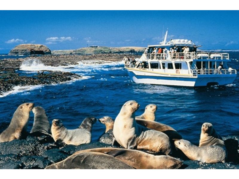 56 Boys Home Road, Newhaven VIC 3925