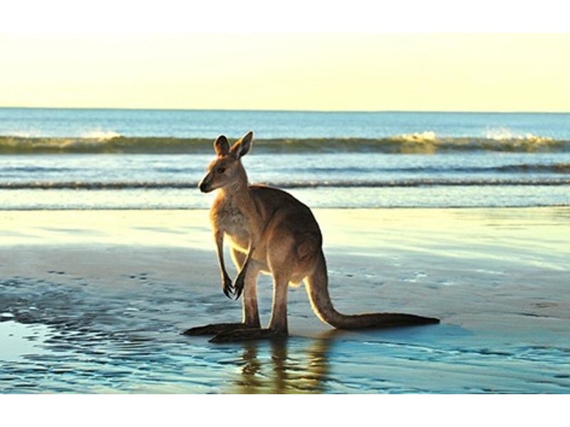 56 Boys Home Road, Newhaven VIC 3925