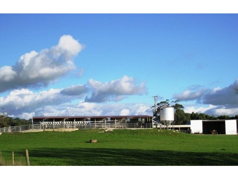 23 Purdys Road IRISHTOWN 7330, Irishtown TAS 7330