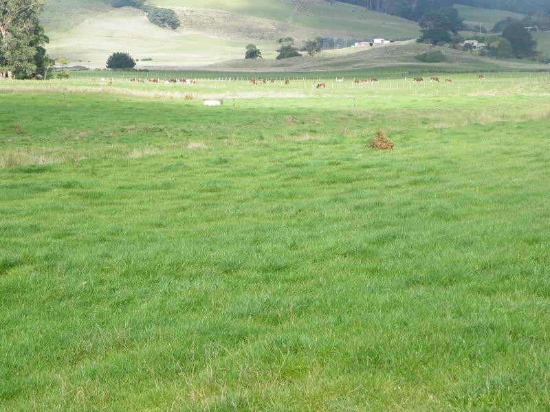 23 Purdys Road IRISHTOWN 7330, Irishtown TAS 7330