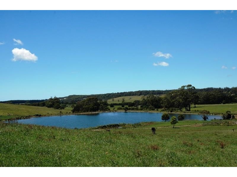 385 Irishtown Road IRISHTOWN 7330, Irishtown TAS 7330