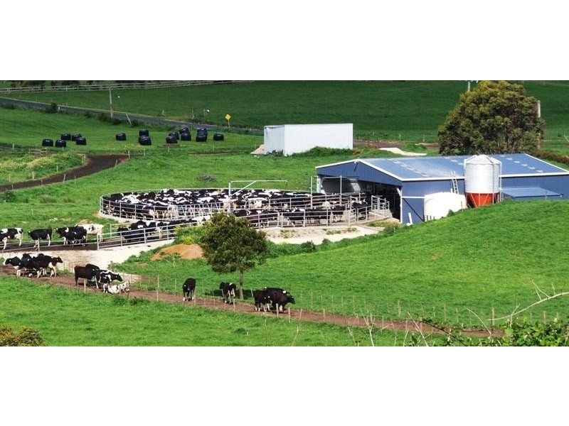 385 Irishtown Road IRISHTOWN 7330, Irishtown TAS 7330