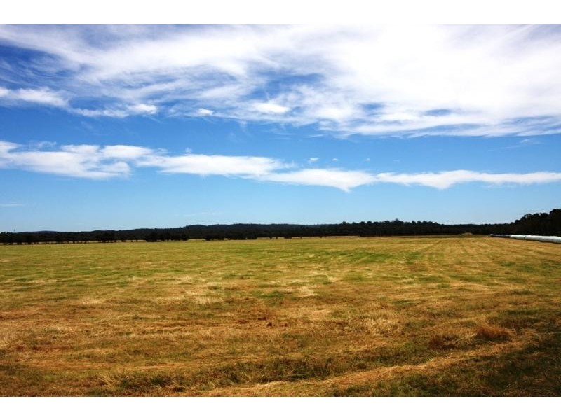 Donalds Road ROGER RIVER 7330, Roger River TAS 7330