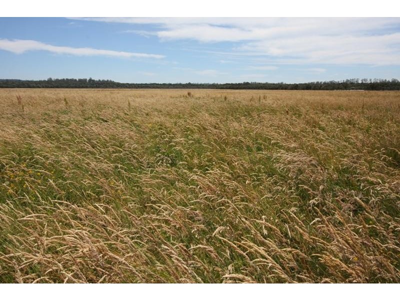 Donalds Road ROGER RIVER 7330, Roger River TAS 7330