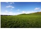 217 Trowutta Road SMITHTON 7330, Smithton TAS 7330