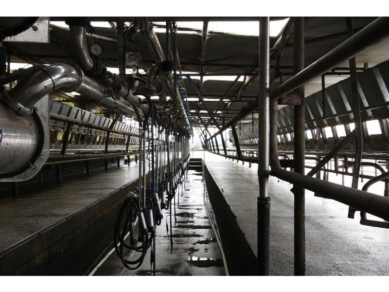 278 Blackwood Road TOGARI 7330, Togari TAS 7330