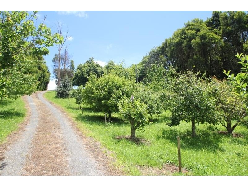 449 Irishtown Road IRISHTOWN 7330, Irishtown TAS 7330