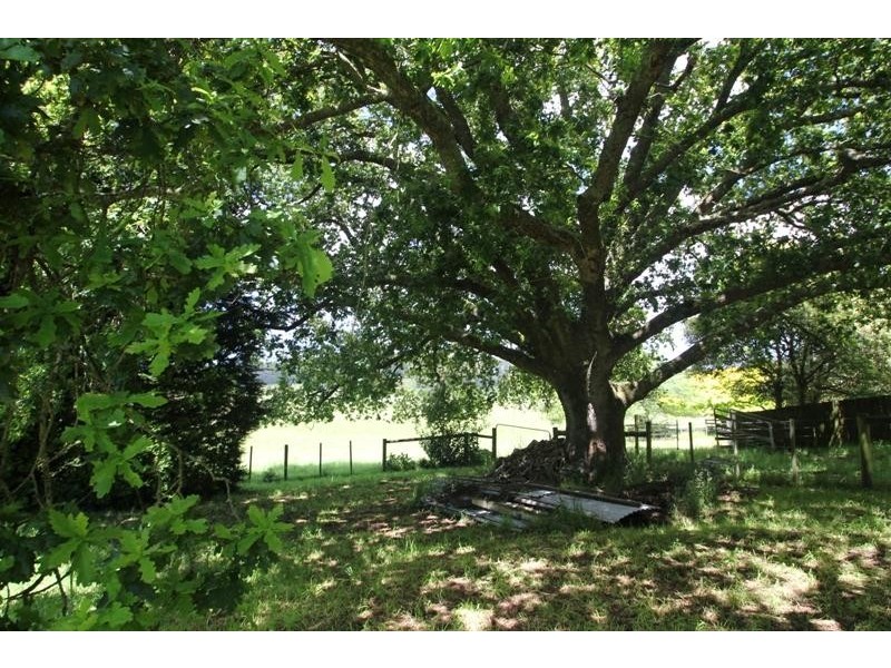 449 Irishtown Road IRISHTOWN 7330, Irishtown TAS 7330