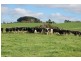 101 Lottah Road NATONE 7321, Natone TAS 7321
