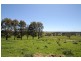 Oonah Road HIGHCLERE 7321, Highclere TAS 7321