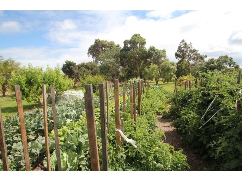 22 Boyndey Road BLACK RIVER 7321, Black River TAS 7321