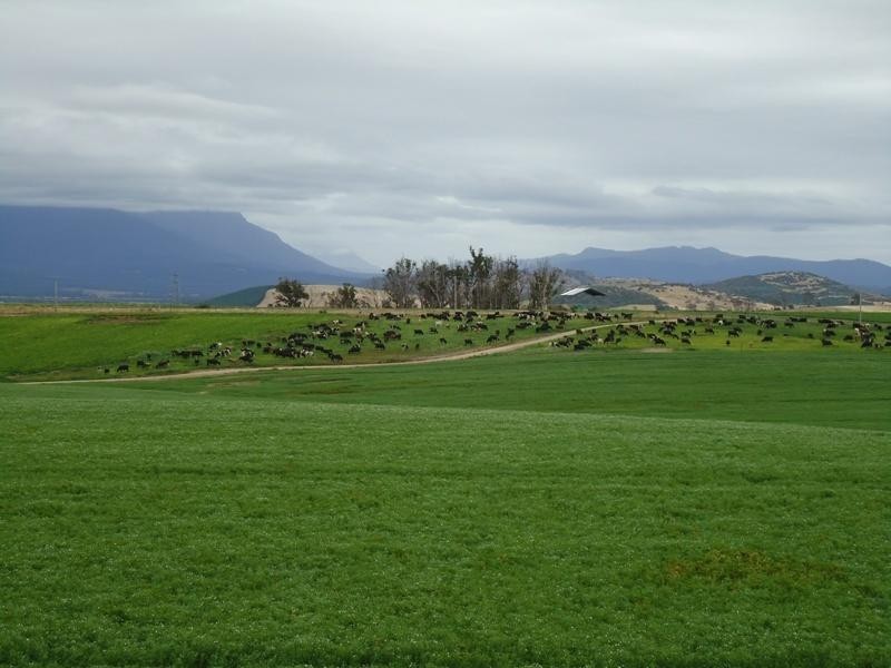 5467 Poatina Road CRESSY 7302, Cressy TAS 7302