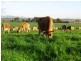 5467 Poatina Road CRESSY 7302, Cressy TAS 7302