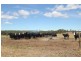 0 Reids Road TROWUTTA 7330, Trowutta TAS 7330