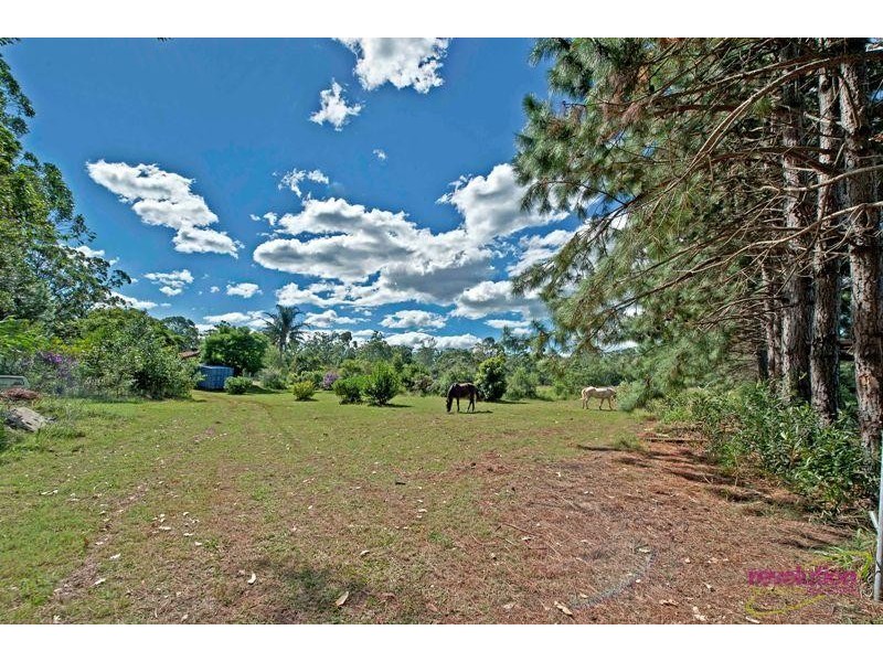 67A Abundance Road MEDOWIE 2318, Medowie NSW 2318