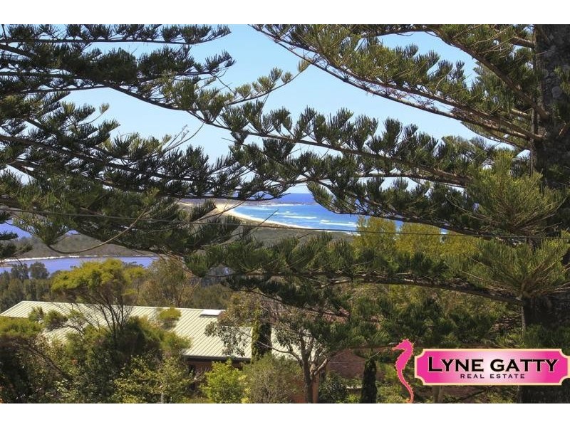 217 Hector McWilliam  Drive, Tuross Head NSW 2537