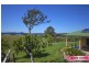 4121 Princess Highway, Tuross Head NSW 2537