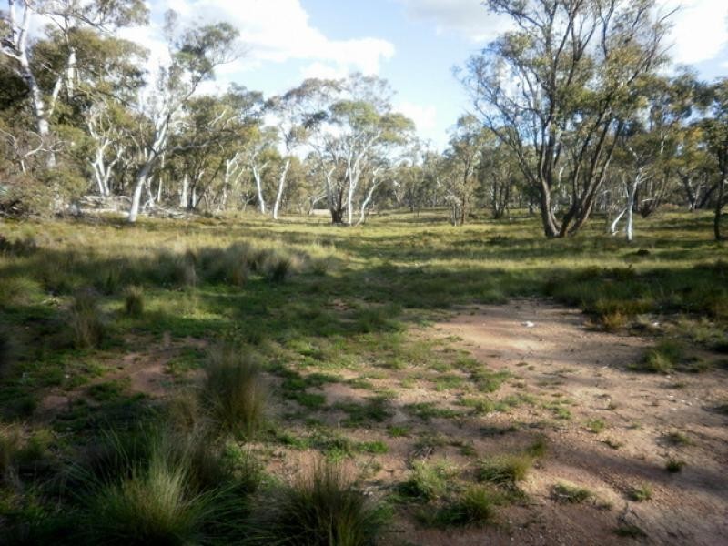 119 Numeralla Road NUMERALLA 2630, Numeralla NSW 2630