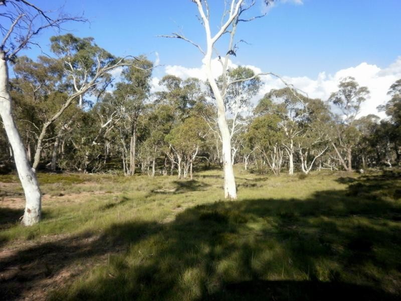 119 Numeralla Road NUMERALLA 2630, Numeralla NSW 2630