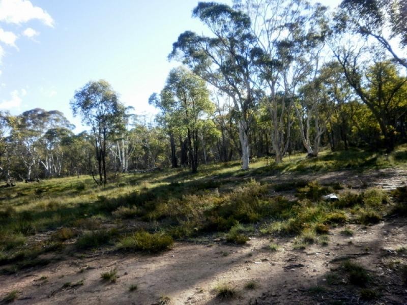 119 Numeralla Road NUMERALLA 2630, Numeralla NSW 2630