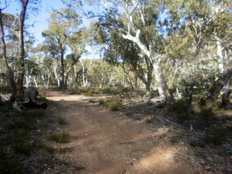 119 Numeralla Road NUMERALLA 2630, Numeralla NSW 2630