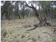 Mendooran NSW 2842