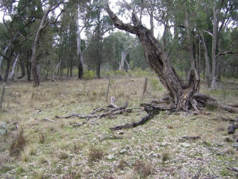 Mendooran NSW 2842