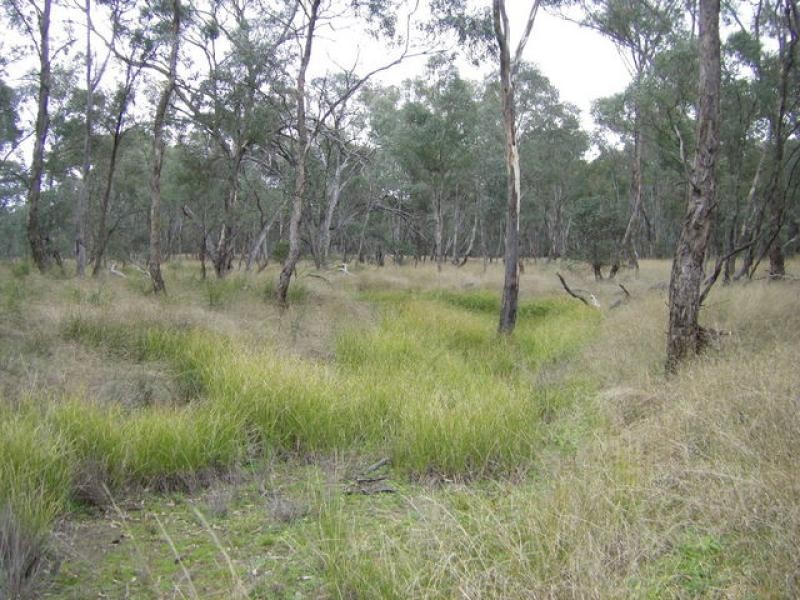 Mendooran NSW 2842