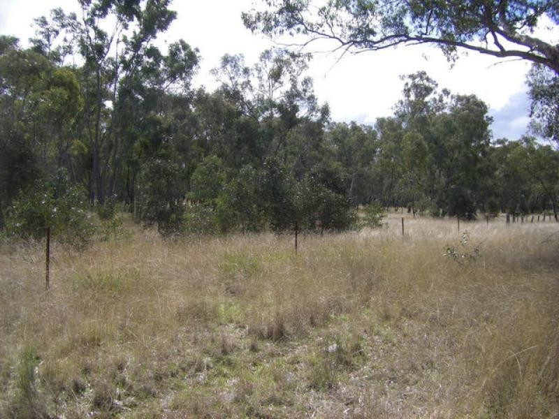 Mendooran NSW 2842
