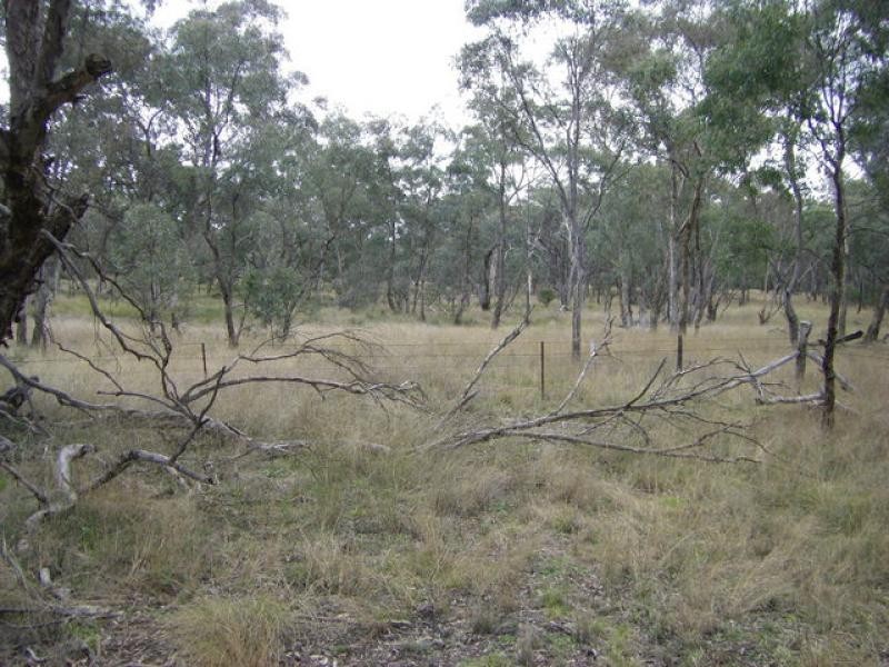 Mendooran NSW 2842