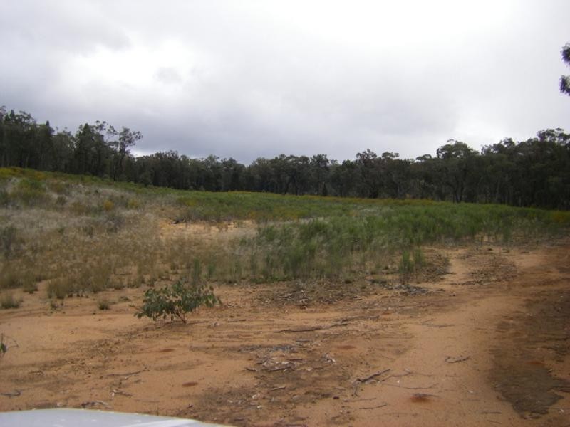 Mendooran NSW 2842