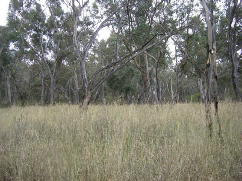 Mendooran NSW 2842