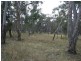 Mendooran NSW 2842