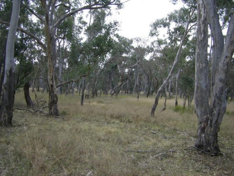 Mendooran NSW 2842