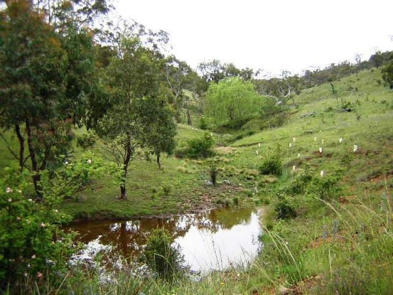 351 Jerangle Road BREDBO 2626, Bredbo NSW 2626