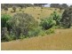 153 Rossi  Road HOSKINSTOWN 2621, Hoskinstown NSW 2621