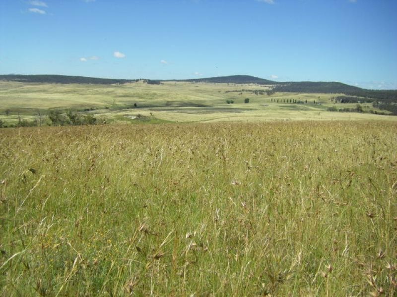 1894 Snowy Mountains Highway, Cooma NSW 2630