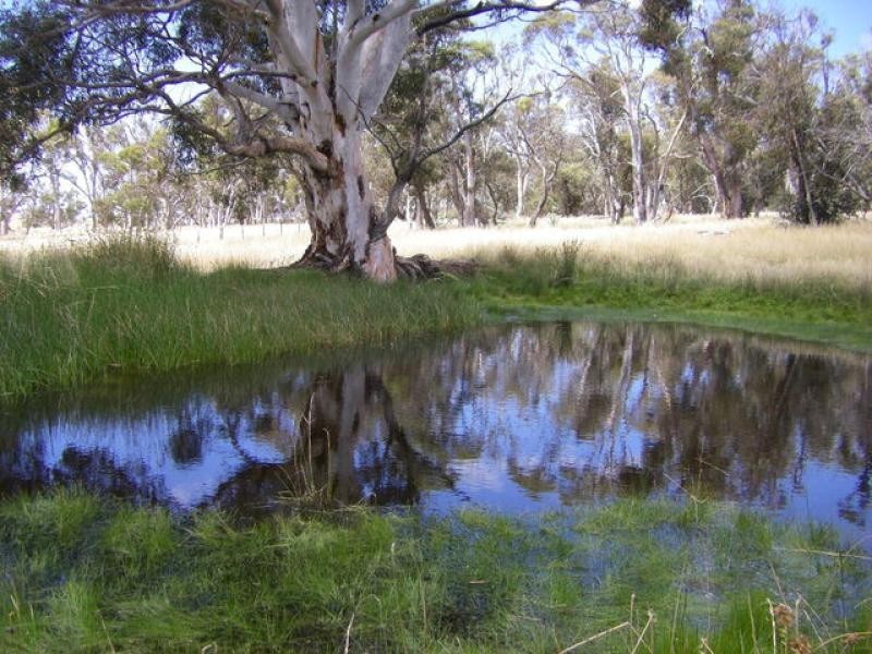 1894 Snowy Mountains Highway, Cooma NSW 2630