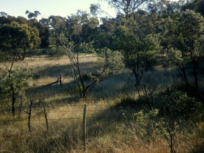 Lot 3.2552 Shannons Flat Road, Cooma NSW 2630