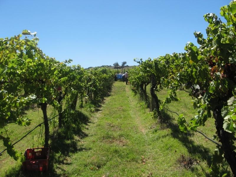 255 Werralong Road BERRIDALE 2628, Berridale NSW 2628